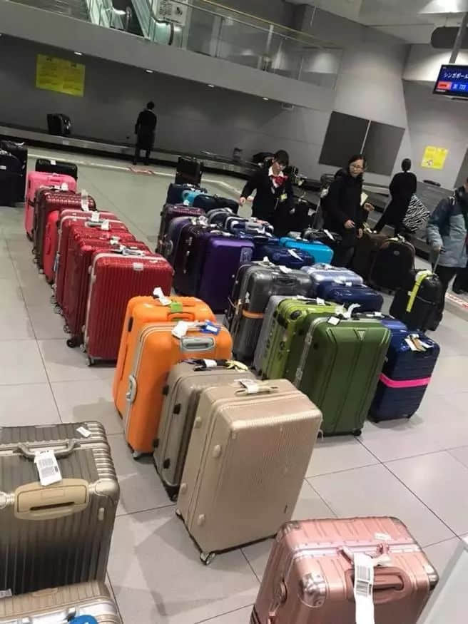 细致到变态的日本人：搬个行李都能爆红网络，真是不得不服啊...