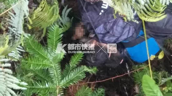 又一20岁女生打滴滴遇害,这次的帮凶是? 又一20岁女生打滴滴遇害,这次的帮凶是?