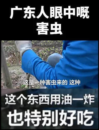 地表最凶残物种:没有感情的广东人 地表最凶残物种:没有感情的广东人