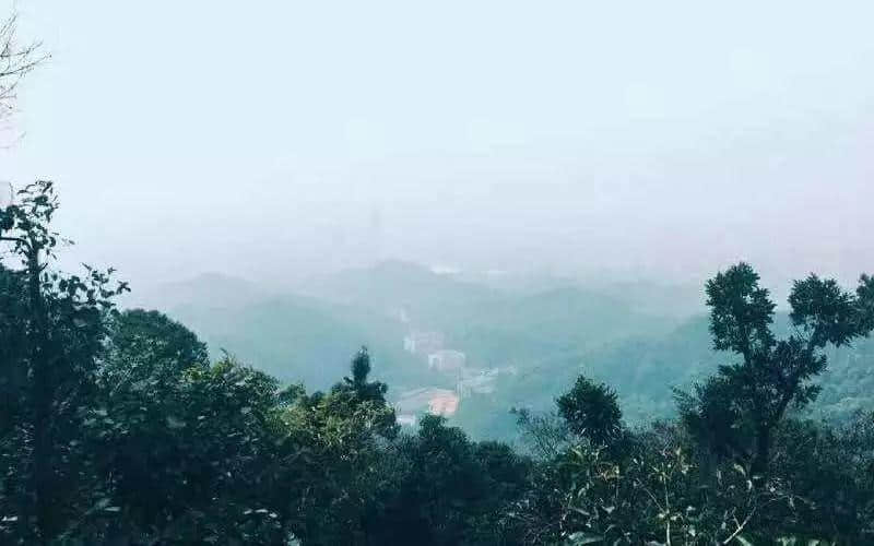 广州搵笨景点指南,那些年你交过几多智商税? 广州搵笨景点指南,那些年你交过几多智商税?