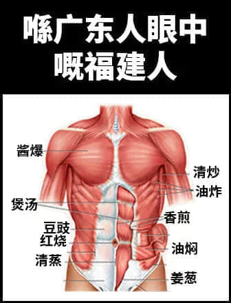 地表最凶残物种:没有感情的广东人 地表最凶残物种:没有感情的广东人