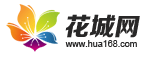 第一批上网的广州人,你们的集体回忆已经404 第一批上网的广州人,你们的集体回忆已经404