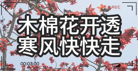 广州天气乱咁嚟?都系因为你粤语未学好! 广州天气乱咁嚟?都系因为你粤语未学好!