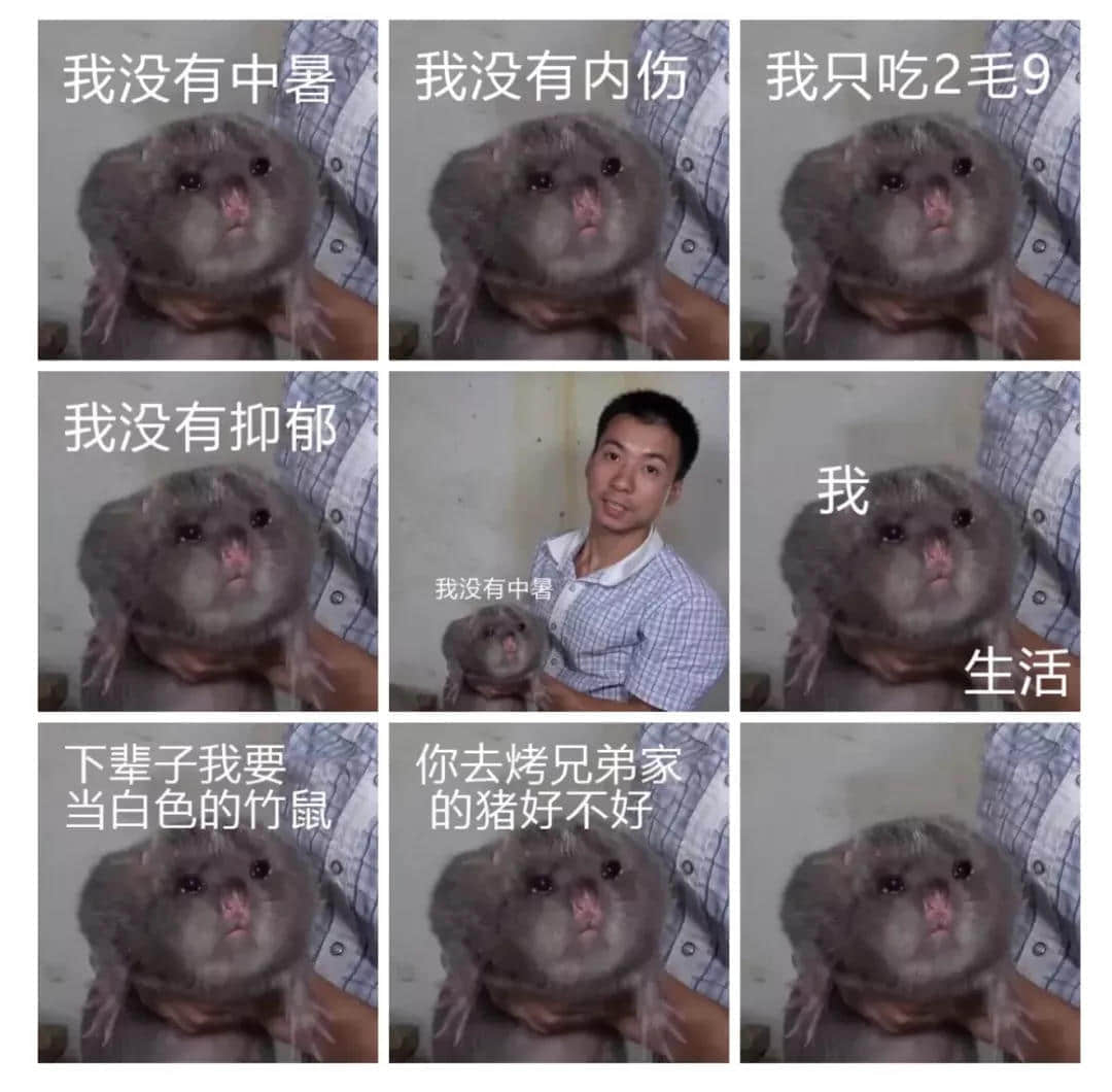 地表最凶残物种:没有感情的广东人 地表最凶残物种:没有感情的广东人