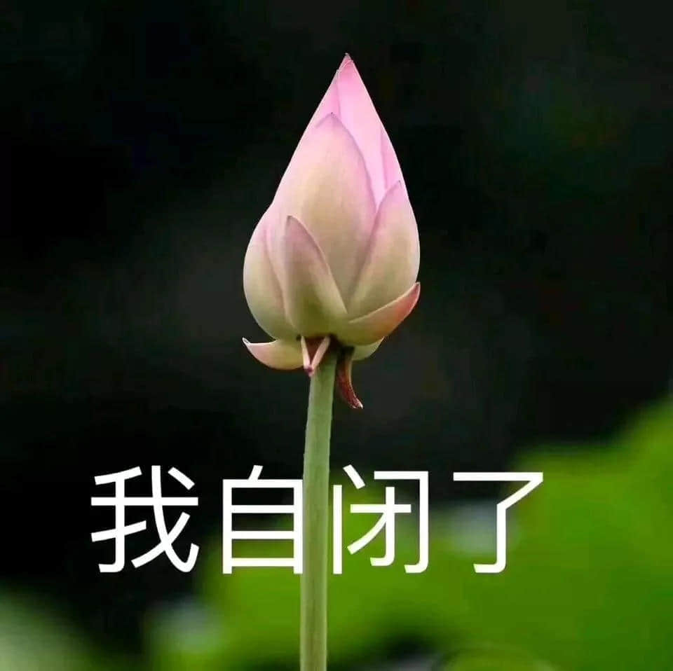 我有病,与钱无缘,对人过敏! 我有病,与钱无缘,对人过敏!