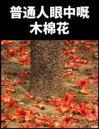 地表最凶残物种:没有感情的广东人 地表最凶残物种:没有感情的广东人