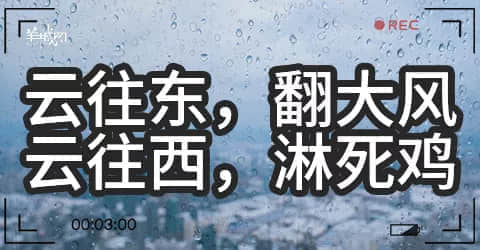 广州天气乱咁嚟？都系因为你粤语未学好！