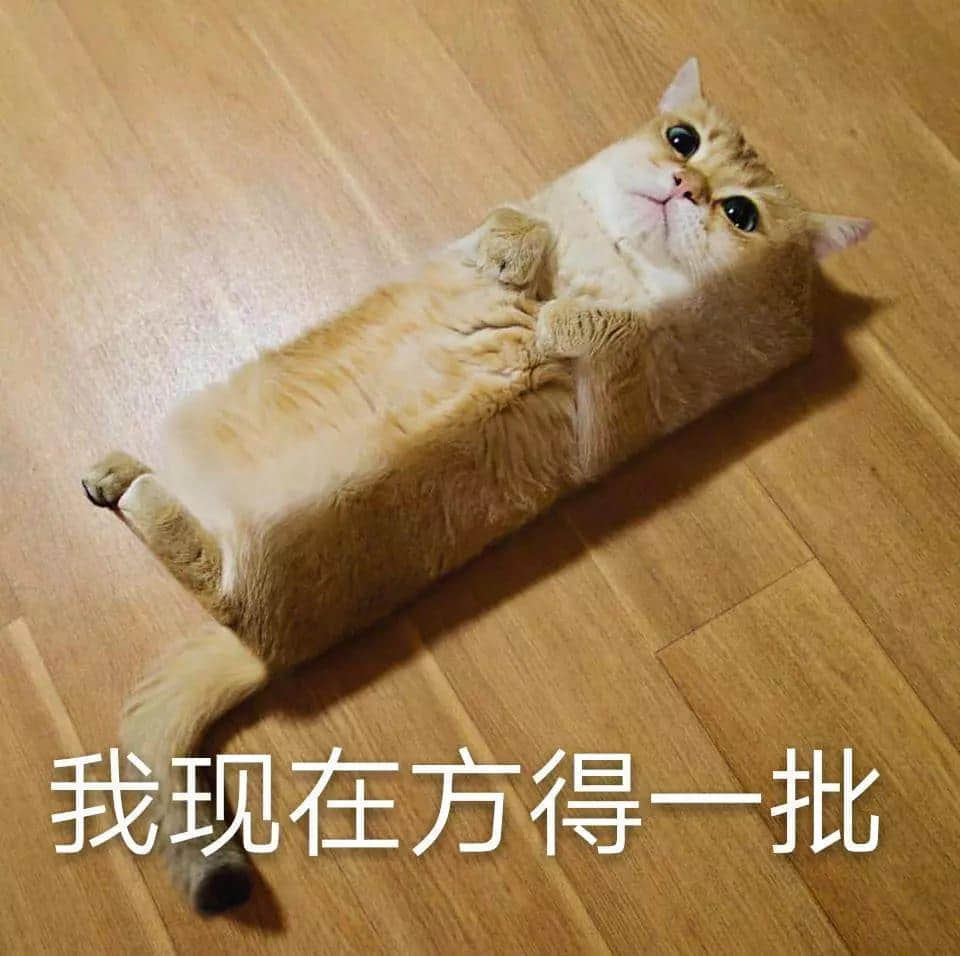 我有病,与钱无缘,对人过敏! 我有病,与钱无缘,对人过敏!