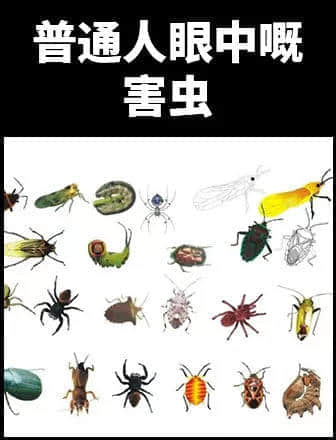 地表最凶残物种:没有感情的广东人 地表最凶残物种:没有感情的广东人