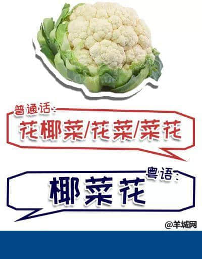 系唔系正宗广府人,行个街市就知道晒! 系唔系正宗广府人,行个街市就知道晒!