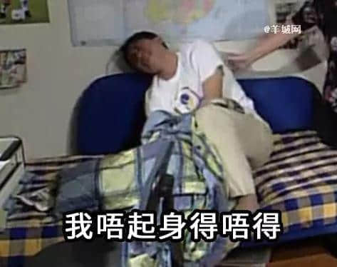 确认过表情包,都是看《外来媳妇本地郎》长大的人! 确认过表情包,都是看《外来媳妇本地郎》长大的人!