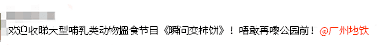 我要食过几多夜粥，先可以逼逼逼逼逼上广州地铁？