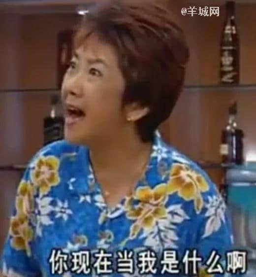 确认过表情包，都是看《外来媳妇本地郎》长大的人！