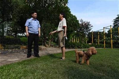 @广州人,你是个合格的狗主人吗? @广州人,你是个合格的狗主人吗?