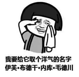 北方的冬天,是广东人的知识盲区 北方的冬天,是广东人的知识盲区