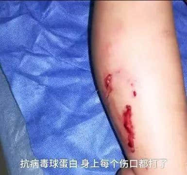 @广州人,你是个合格的狗主人吗? @广州人,你是个合格的狗主人吗?