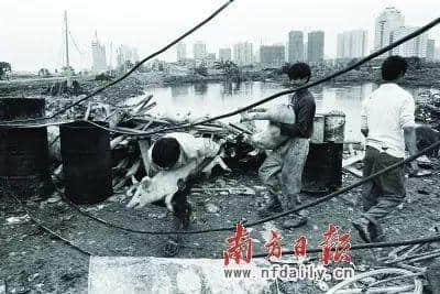 老广州,你老了吗? 老广州,你老了吗?