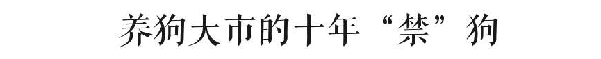@广州人,你是个合格的狗主人吗? @广州人,你是个合格的狗主人吗?