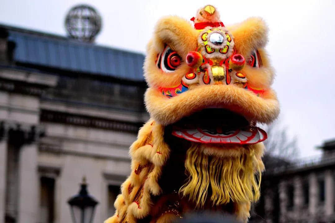 点解2019年广东人唔会再转发锦鲤? 点解2019年广东人唔会再转发锦鲤?