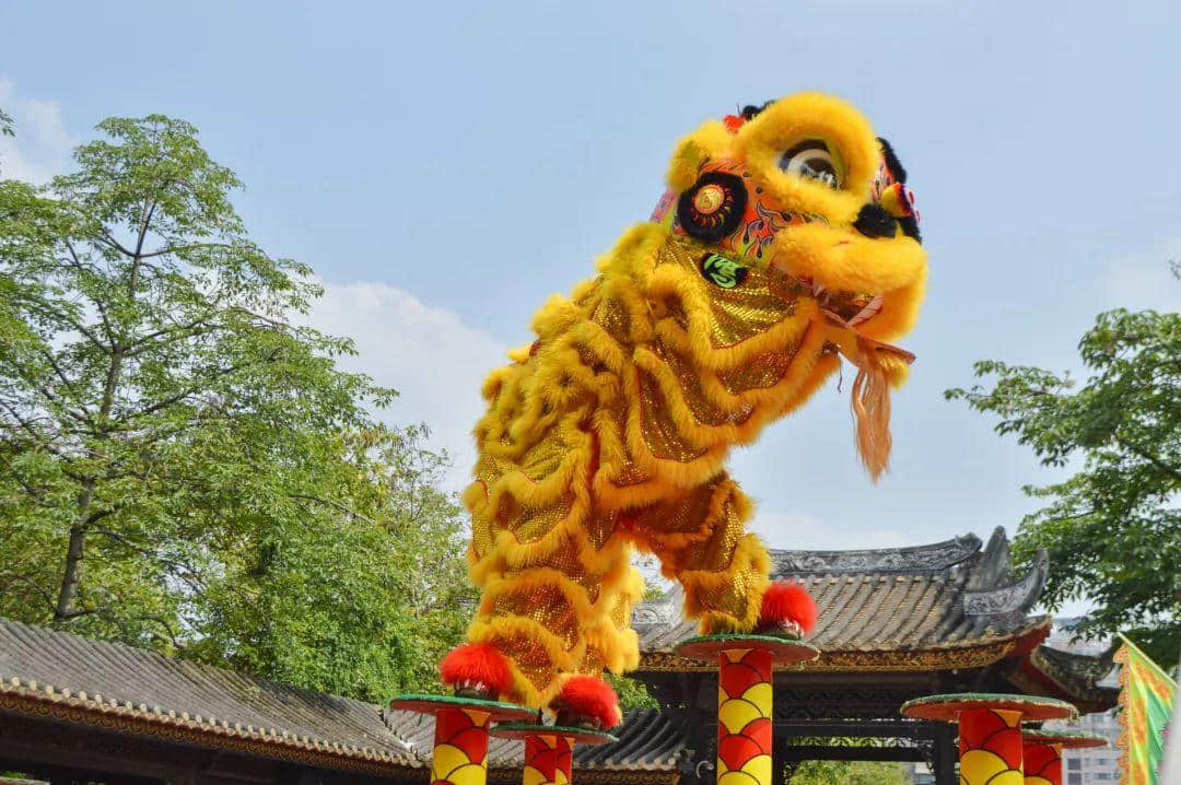 点解2019年广东人唔会再转发锦鲤? 点解2019年广东人唔会再转发锦鲤?