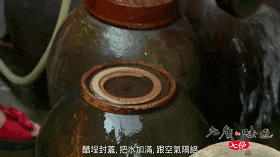 广东臭屁醋：行走的生化武器，流动的液态榴莲