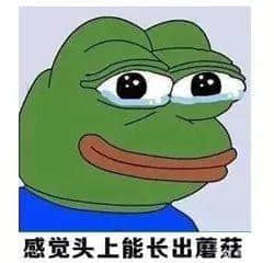 广东人回南天独家续命指南