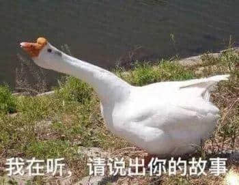 假如你系一只鹅,千祈唔好嚟广东! 假如你系一只鹅,千祈唔好嚟广东!