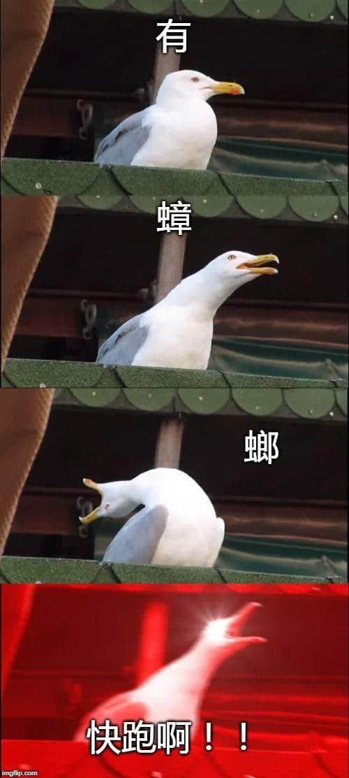 广州，一座靠天气上热搜嘅佛系城市｜一句话神总结广州