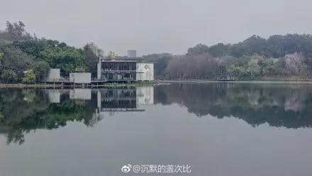 再见,麓湖儿童乐园!值班36年,你终于退休了! 再见,麓湖儿童乐园!值班36年,你终于退休了!