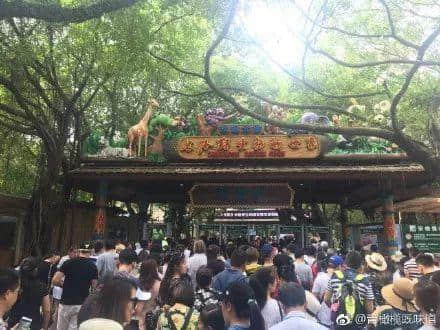 12个过气童年游戏,每一款都是广东人的回忆杀! 12个过气童年游戏,每一款都是广东人的回忆杀!