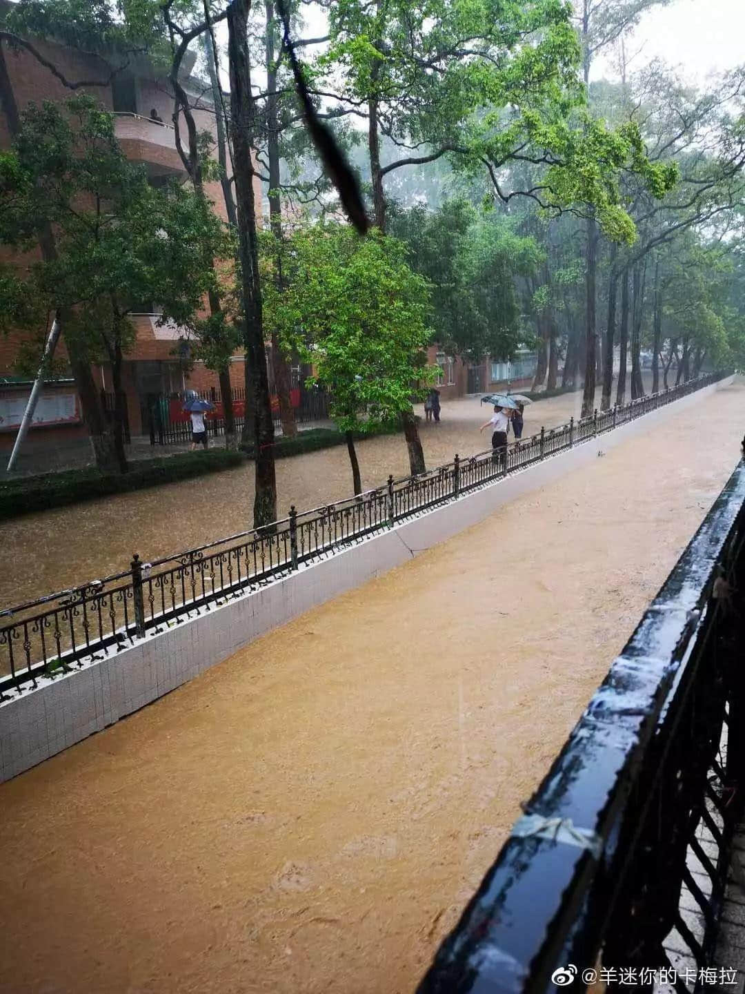 热烈庆祝，广州暴雨+热搜包月套餐生成！