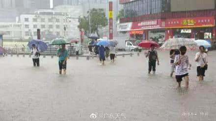 热烈庆祝，广州暴雨+热搜包月套餐生成！
