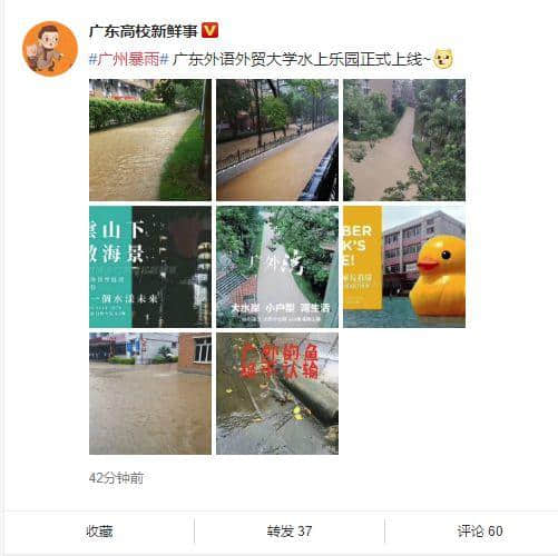 热烈庆祝，广州暴雨+热搜包月套餐生成！