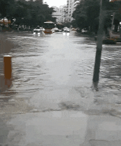 热烈庆祝，广州暴雨+热搜包月套餐生成！