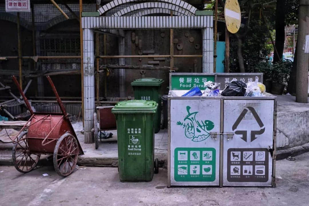 我们走上街头，体验了一下广州的垃圾分类