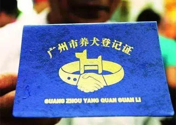 交了十年冤枉钱,广州养犬管理有变更好吗? 交了十年冤枉钱,广州养犬管理有变更好吗?