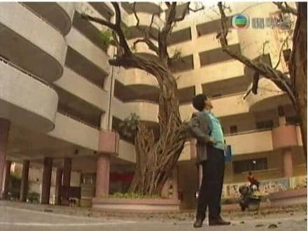 回归22年,香港人对广州的偏见改变了吗? 回归22年,香港人对广州的偏见改变了吗?