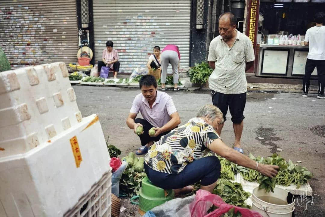 最后的沥滘菜农