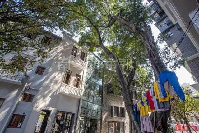 广州人十一假期最全攻略，有咩地方人少仲抵玩？