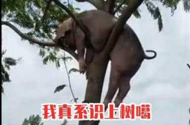 秋风起,食你卤味 秋风起,食你卤味