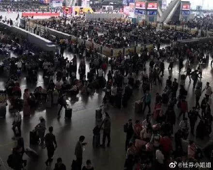 即使日军兵临城下,也不能阻挡广州人买花买年桔! 即使日军兵临城下,也不能阻挡广州人买花买年桔!