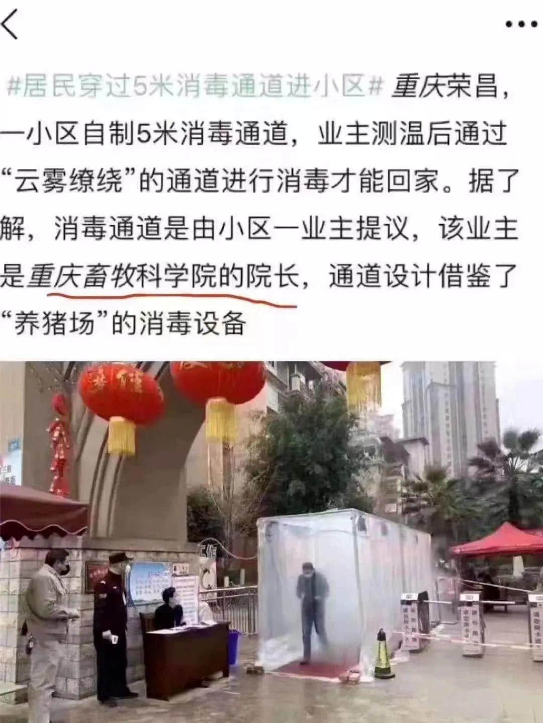 揭秘疫情灾难下的9大思维谬误,最后一条才是真正的悲哀 揭秘疫情灾难下的9大思维谬误,最后一条才是真正的悲哀