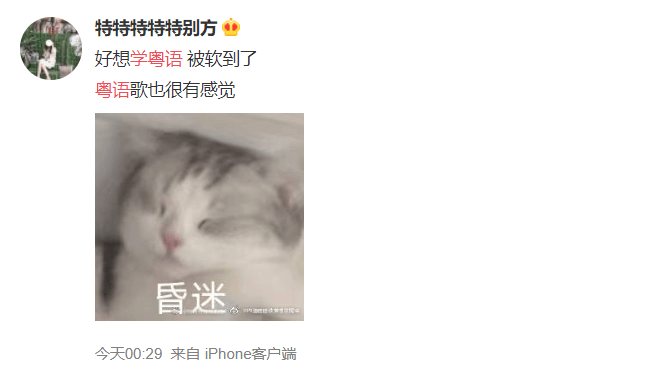 国际母语日 | 继续讲粤语,是我们最后的倔强! 国际母语日 | 继续讲粤语,是我们最后的倔强!