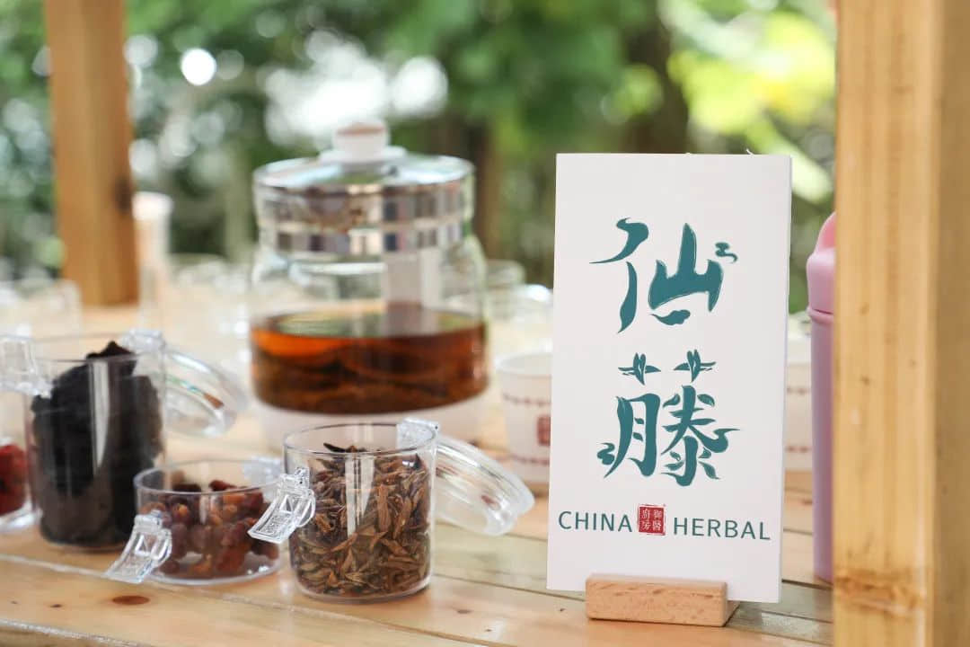 走进御医厨房,体验广府文化美食之妙 走进御医厨房,体验广府文化美食之妙