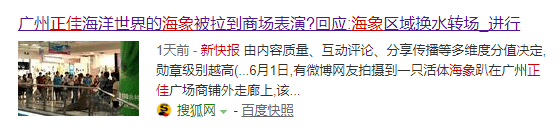 继“最悲伤北极熊”后，正佳海洋世界又现“海象行商场”？