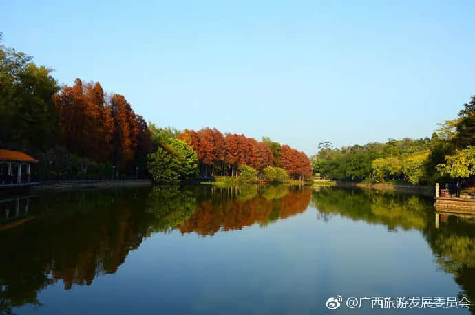广西呢座城市,居然系广州失散多年嘅兄弟! 广西呢座城市,居然系广州失散多年嘅兄弟!