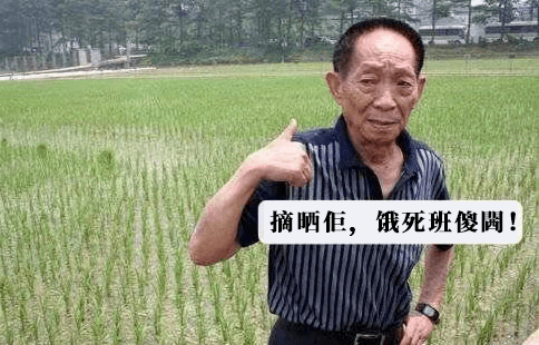 粤语键盘侠:“没有十级证书,你不配讲粤语!” 粤语键盘侠:“没有十级证书,你不配讲粤语!”