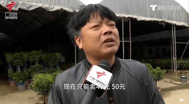 疫情仍未结束的2021,广州人还能不能逛花街? 疫情仍未结束的2021,广州人还能不能逛花街?