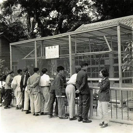 广州动物园,这次真的要非搬不可了吗? 广州动物园,这次真的要非搬不可了吗?