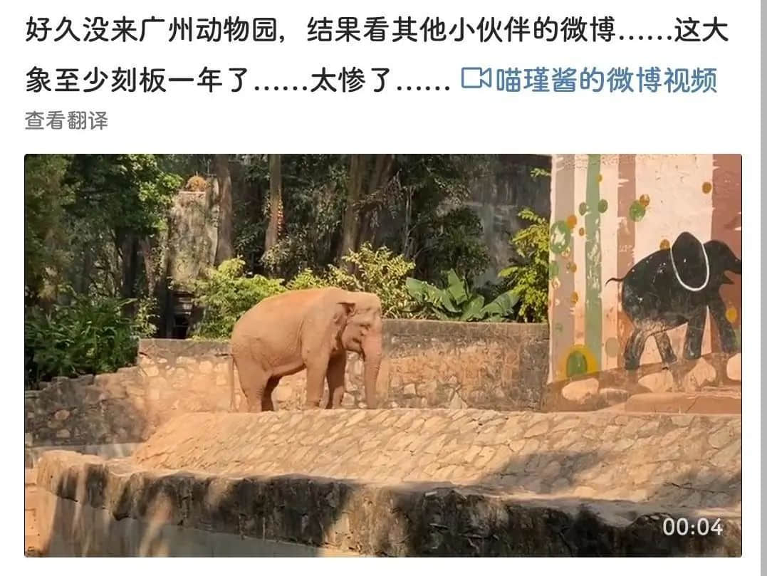广州动物园，这次真的要非搬不可了吗？